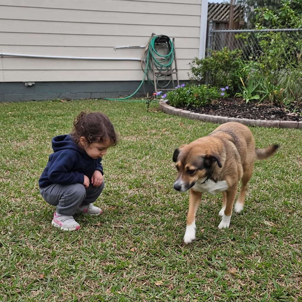 A young child and the family dog playing on a healthy backyard lawn — the pet-safe, family-safe result of Panther Pest Control's treatments