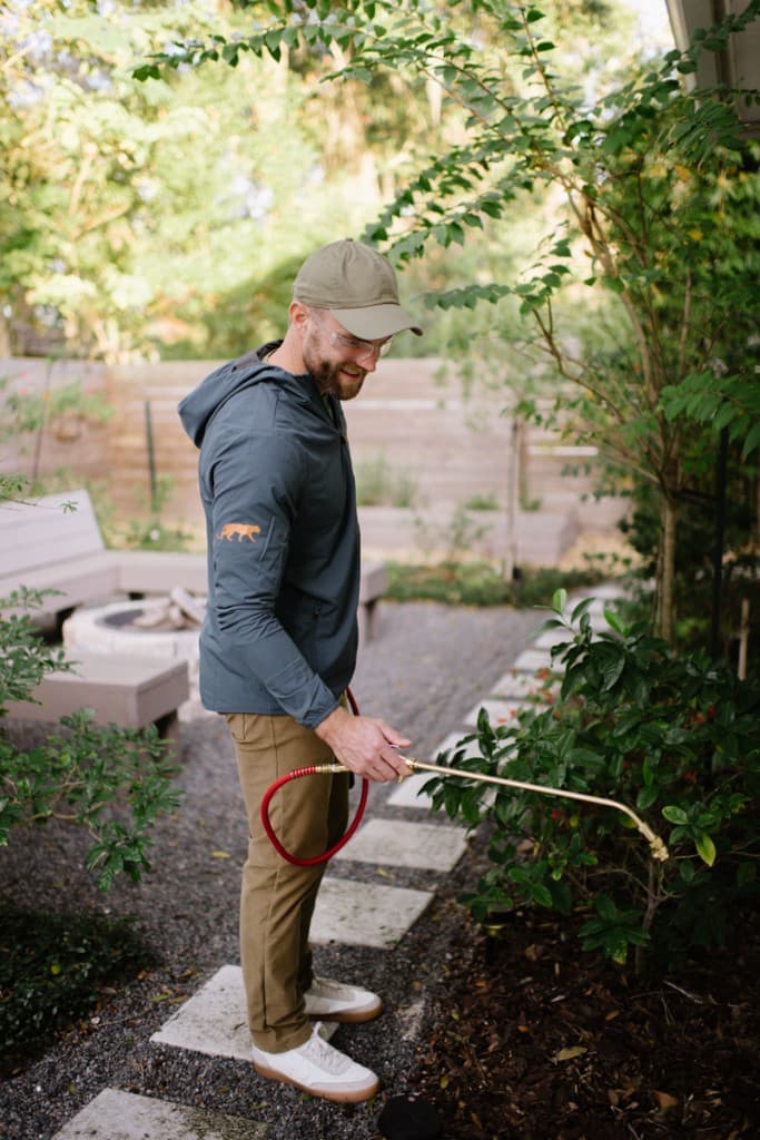 Technician applying targeted, Natural and organic treatment to garden shrubs